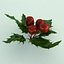 Mistletoe Sprig Holly