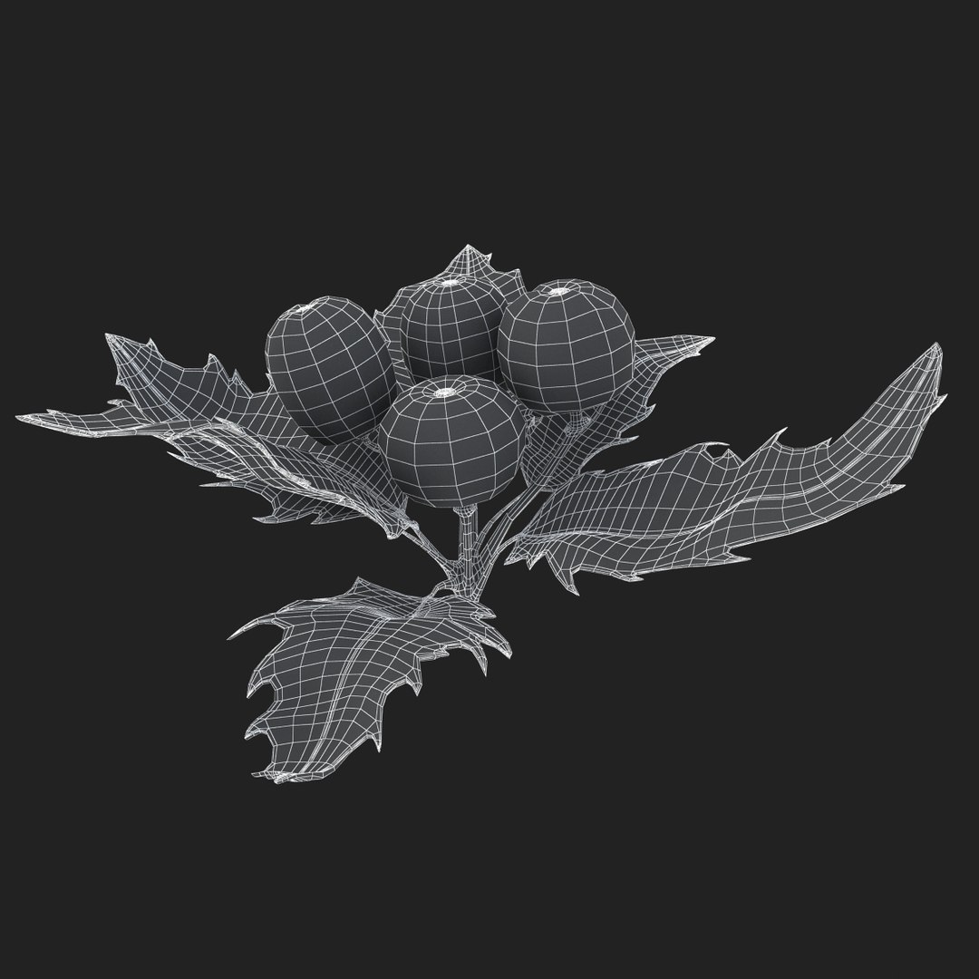 3D holly mistletoe sprig https://p.turbosquid.com/ts-thumb/K4/mtU3wx/kAp7Rts3/sub003/jpg/1512560893/1920x1080/fit_q87/f21eb622f2fcfcfdeb364875e51befb449a425c6/sub003.jpg