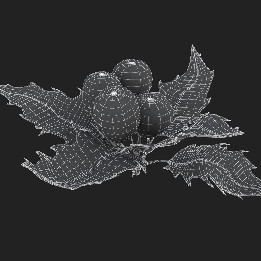 3D holly mistletoe sprig https://p.turbosquid.com/ts-thumb/K4/mtU3wx/kcRZ4j7i/sub009/jpg/1512560893/1920x1080/fit_q87/87d497fc018a4fd3c0475ade0d7a7050e0af2d23/sub009.jpg