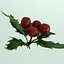 Mistletoe Sprig Holly