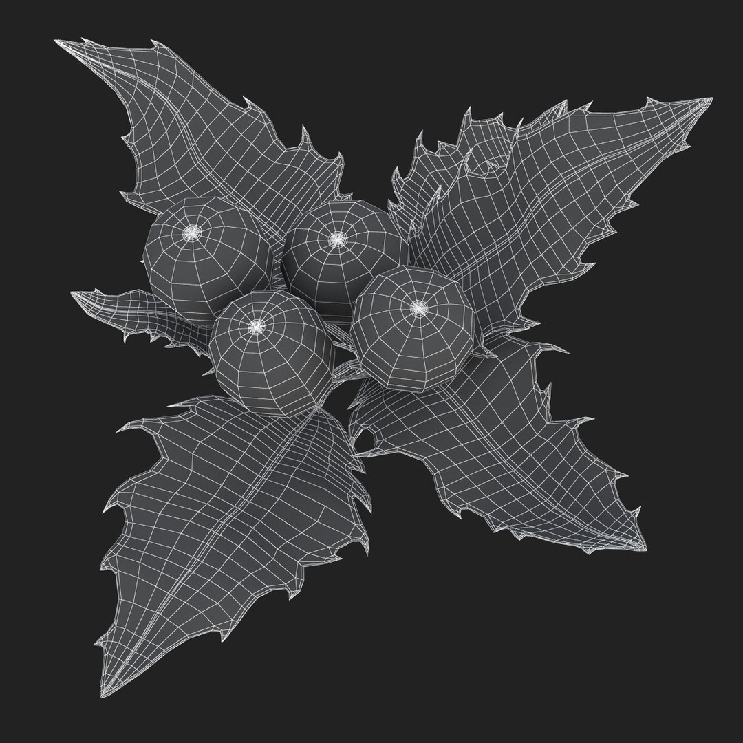 3D holly mistletoe sprig https://p.turbosquid.com/ts-thumb/K4/mtU3wx/w7jAxQWx/sub007/jpg/1512560893/1920x1080/fit_q87/b2c711148c816c42dc33587f645070ac0c7fd664/sub007.jpg