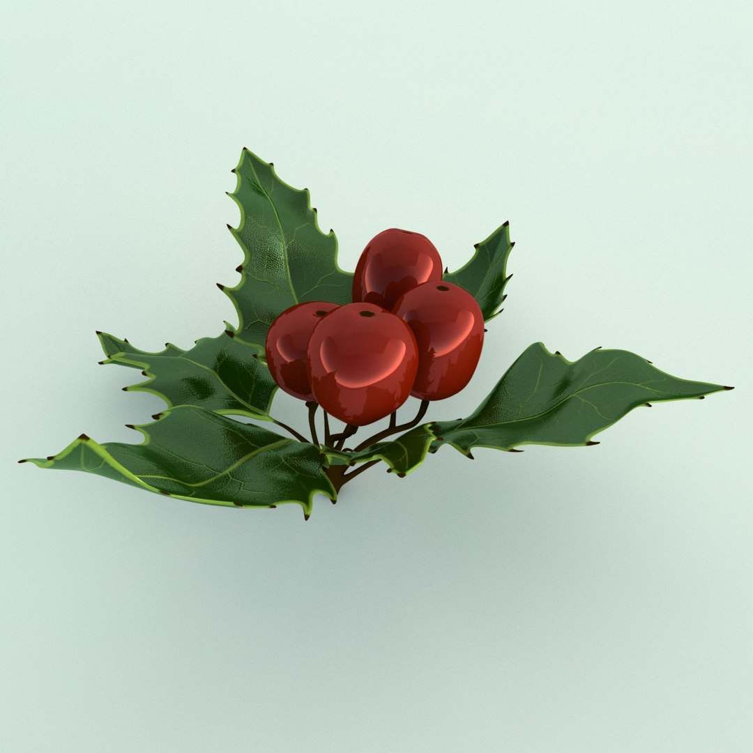 3D holly mistletoe sprig https://p.turbosquid.com/ts-thumb/K4/mtU3wx/yVlfIoTJ/003/jpg/1512560892/1920x1080/fit_q87/abfb6e4aa4e6fcbee595789890052c0ce55ceb3f/003.jpg