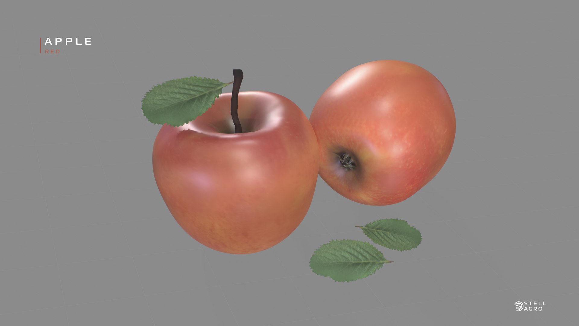 3D Apple Red Stell Agro https://p.turbosquid.com/ts-thumb/K4/xdEHuI/6h/9/jpg/1652756036/1920x1080/fit_q87/4ef0f923cc6b3b4fcb597585854643b057ce71da/9.jpg