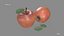 Apple Red Stell Agro
