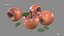 Apple Red Stell Agro