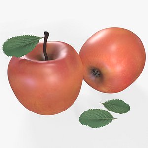 Apple Red Stell Agro