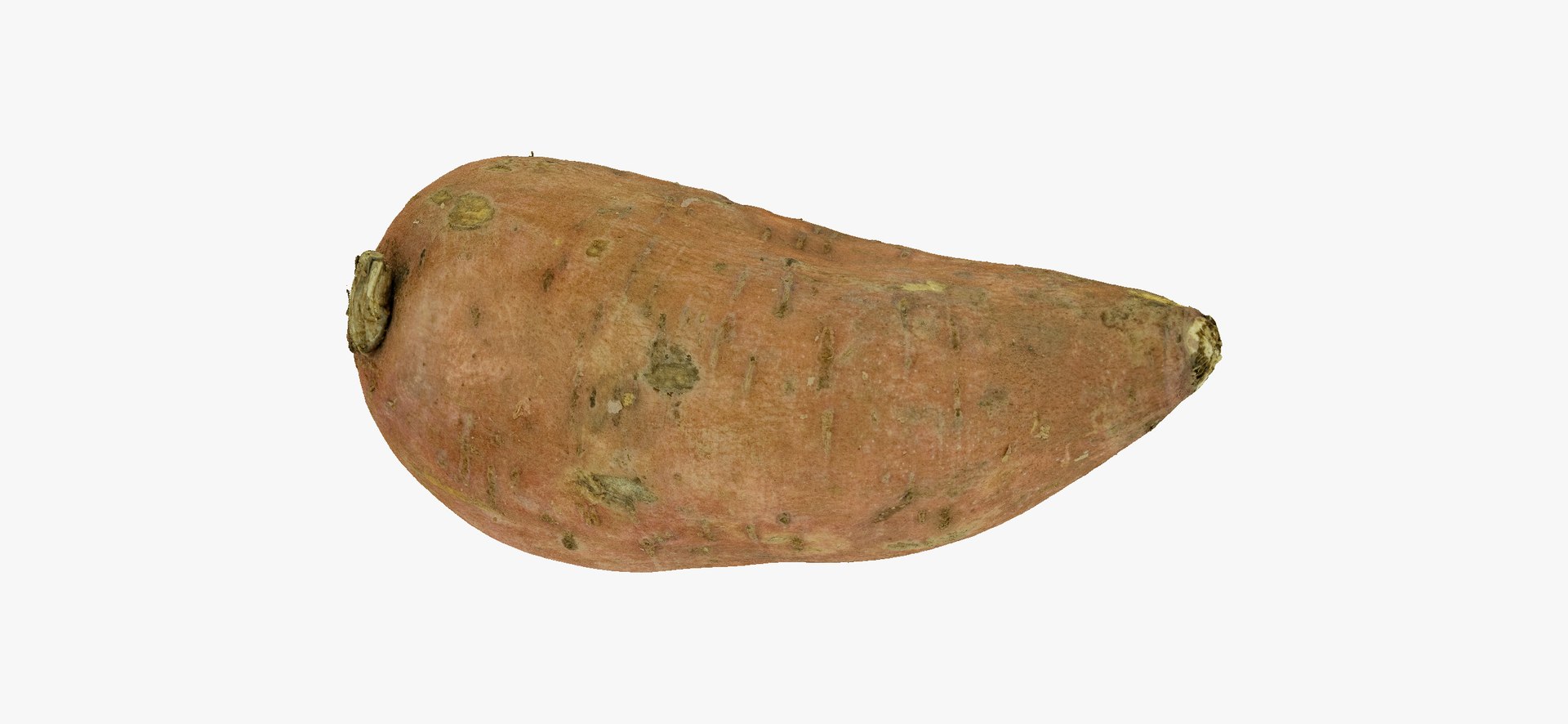 3D model Potatoes Collection 02 - 15 models RAW Scans https://p.turbosquid.com/ts-thumb/K5/0IESeX/1D/sweetpotato03thumbnail11/jpg/1641302614/1920x1080/fit_q87/e88e488a81e28d6eb4d21f5cc1afb2ca52a62712/sweetpotato03thumbnail11.jpg