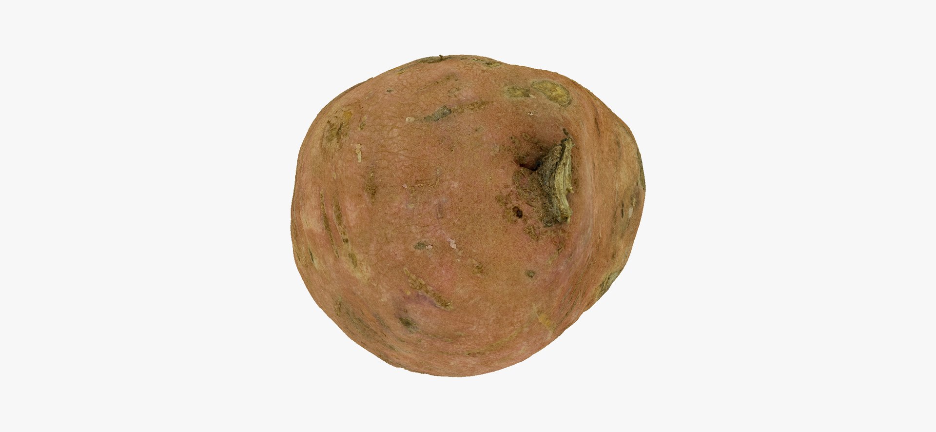 3D model Potatoes Collection 02 - 15 models RAW Scans https://p.turbosquid.com/ts-thumb/K5/0IESeX/1F/sweetpotato03thumbnail07/jpg/1641302616/1920x1080/fit_q87/978306e9263e20f356fc8c52ad232a24bb0783db/sweetpotato03thumbnail07.jpg