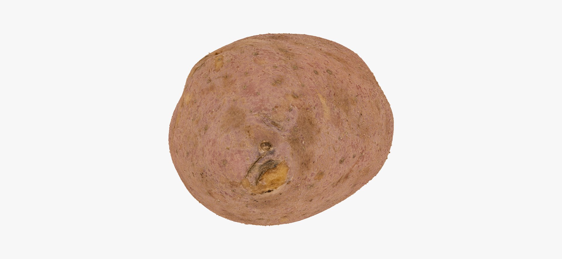 3D model Potatoes Collection 02 - 15 models RAW Scans https://p.turbosquid.com/ts-thumb/K5/0IESeX/4j/redpotato01thumbnail07/jpg/1641302622/1920x1080/fit_q87/5d303c9ca0eb1097d333ffff635da2e6bc4d41b4/redpotato01thumbnail07.jpg