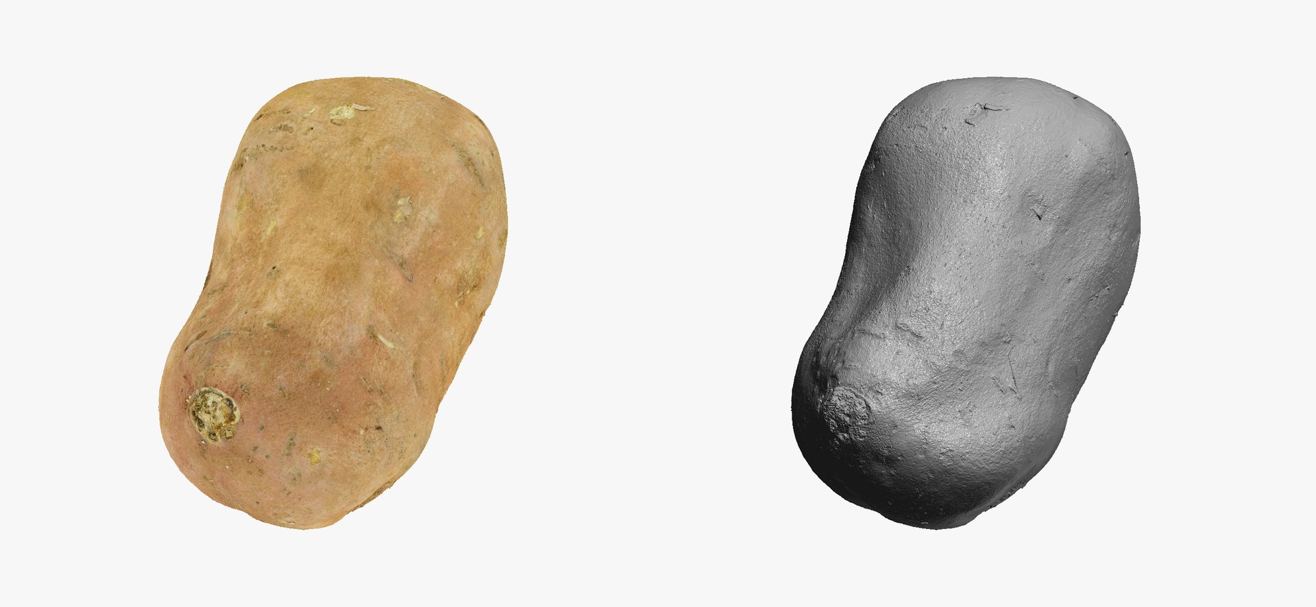 3D model Potatoes Collection 02 - 15 models RAW Scans https://p.turbosquid.com/ts-thumb/K5/0IESeX/6x/sweetpotato02thumbnails03/jpg/1641302475/1920x1080/fit_q87/c7d065637093b6fcbdd1e893053bebc550990781/sweetpotato02thumbnails03.jpg