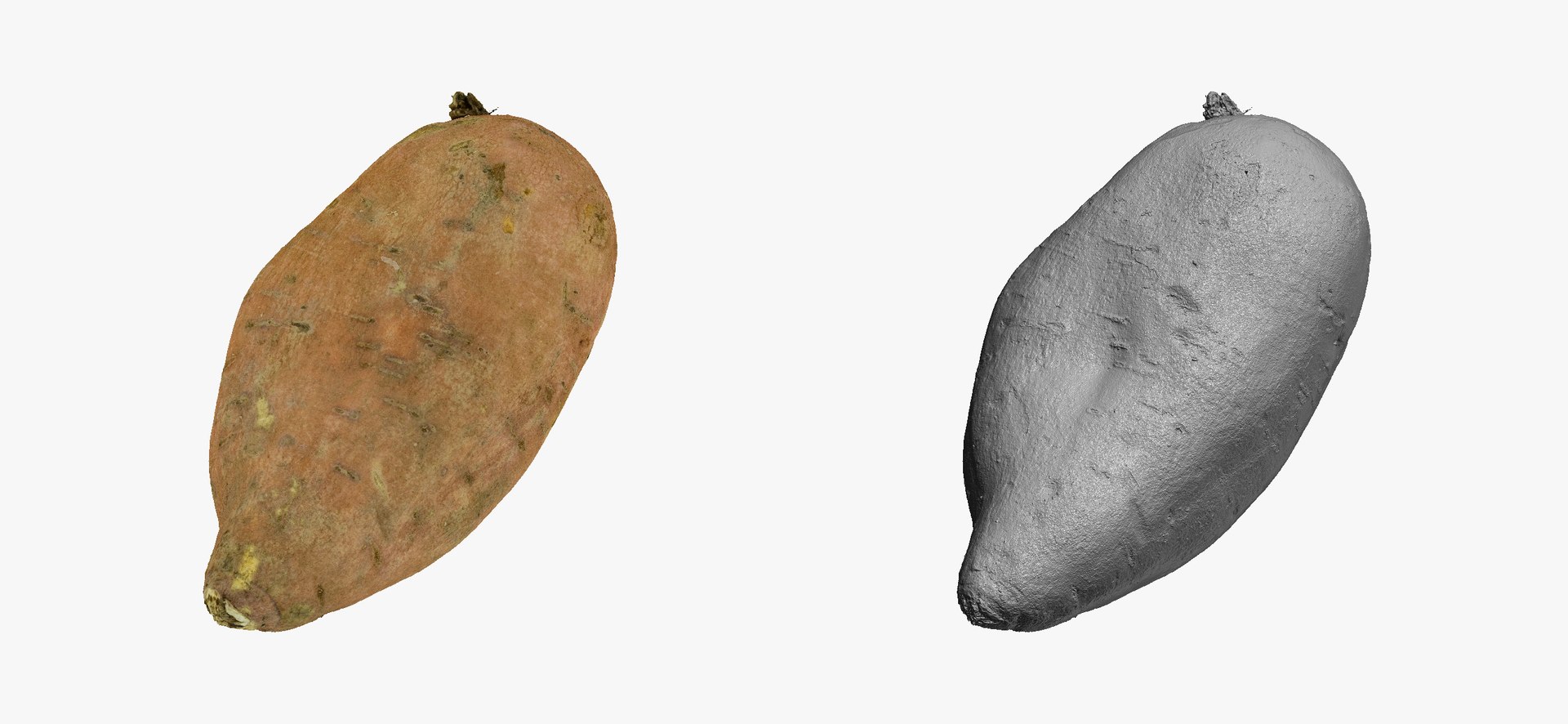 3D model Potatoes Collection 02 - 15 models RAW Scans https://p.turbosquid.com/ts-thumb/K5/0IESeX/8R/sweetpotato03thumbnail03/jpg/1641302474/1920x1080/fit_q87/a953d8365f4f993866937a2e8954ba793b3590a2/sweetpotato03thumbnail03.jpg