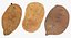 Potatoes Collection 02 - 15 模型 RAW 扫描