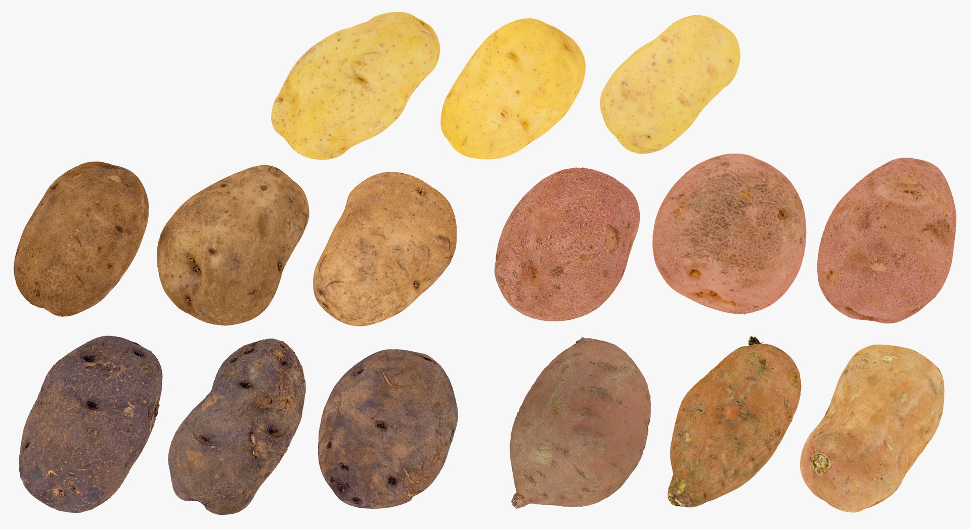 3D model Potatoes Collection 02 - 15 models RAW Scans https://p.turbosquid.com/ts-thumb/K5/0IESeX/EJ/93a/jpg/1641301372/1920x1080/fit_q87/9122354c9ad8732e39467c6d396329fca7c89e1f/93a.jpg