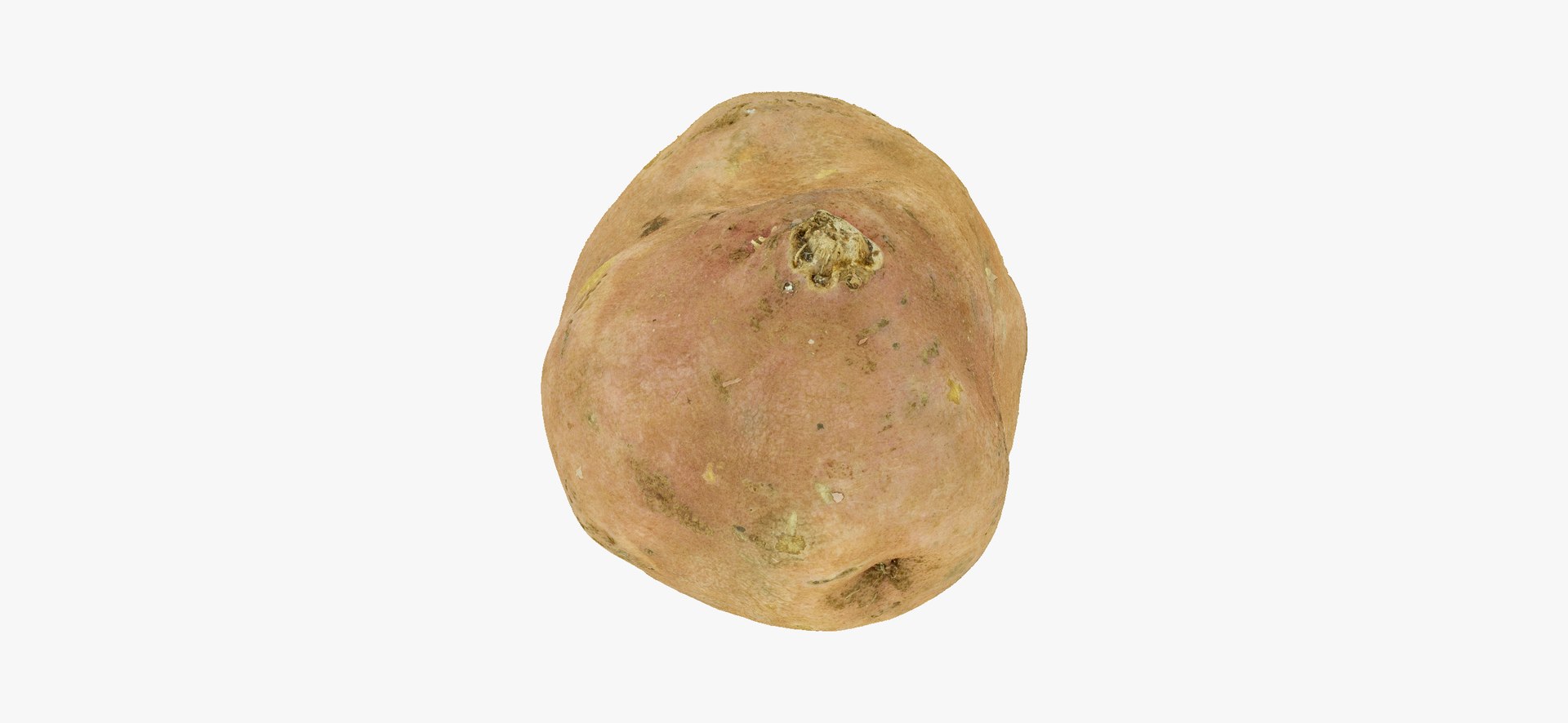 3D model Potatoes Collection 02 - 15 models RAW Scans https://p.turbosquid.com/ts-thumb/K5/0IESeX/KO/sweetpotato02thumbnails09/jpg/1641302614/1920x1080/fit_q87/cc512314bff0c7c119c1c39d3fb150ddc9e4e3c0/sweetpotato02thumbnails09.jpg