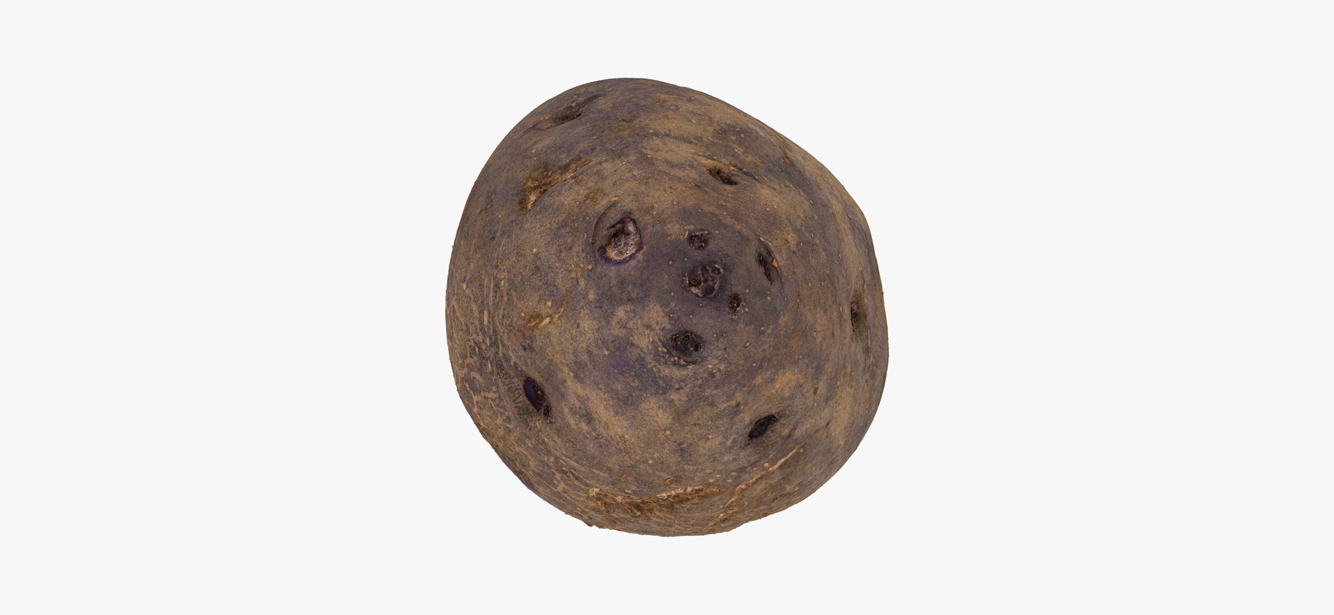 3D model Potatoes Collection 02 - 15 models RAW Scans https://p.turbosquid.com/ts-thumb/K5/0IESeX/Ky/purplepotato01thumbnail09/jpg/1641302632/1920x1080/fit_q87/09ba8603d2c09f1871d239c6158a88bbc63c2a23/purplepotato01thumbnail09.jpg