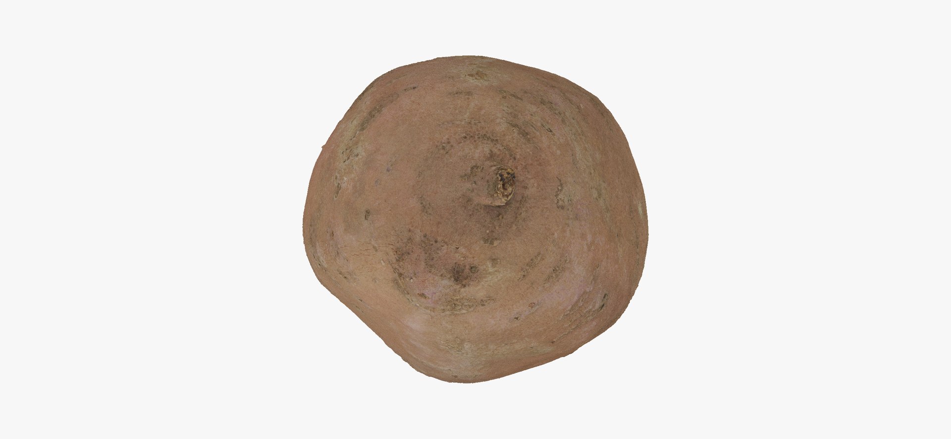 3D model Potatoes Collection 02 - 15 models RAW Scans https://p.turbosquid.com/ts-thumb/K5/0IESeX/QP/sweetpotato04thumbnail07/jpg/1641302620/1920x1080/fit_q87/93dc11ac08e658e5c55860f29e831a6c7260e695/sweetpotato04thumbnail07.jpg