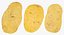 Potatoes Collection 02 - 15 模型 RAW 扫描