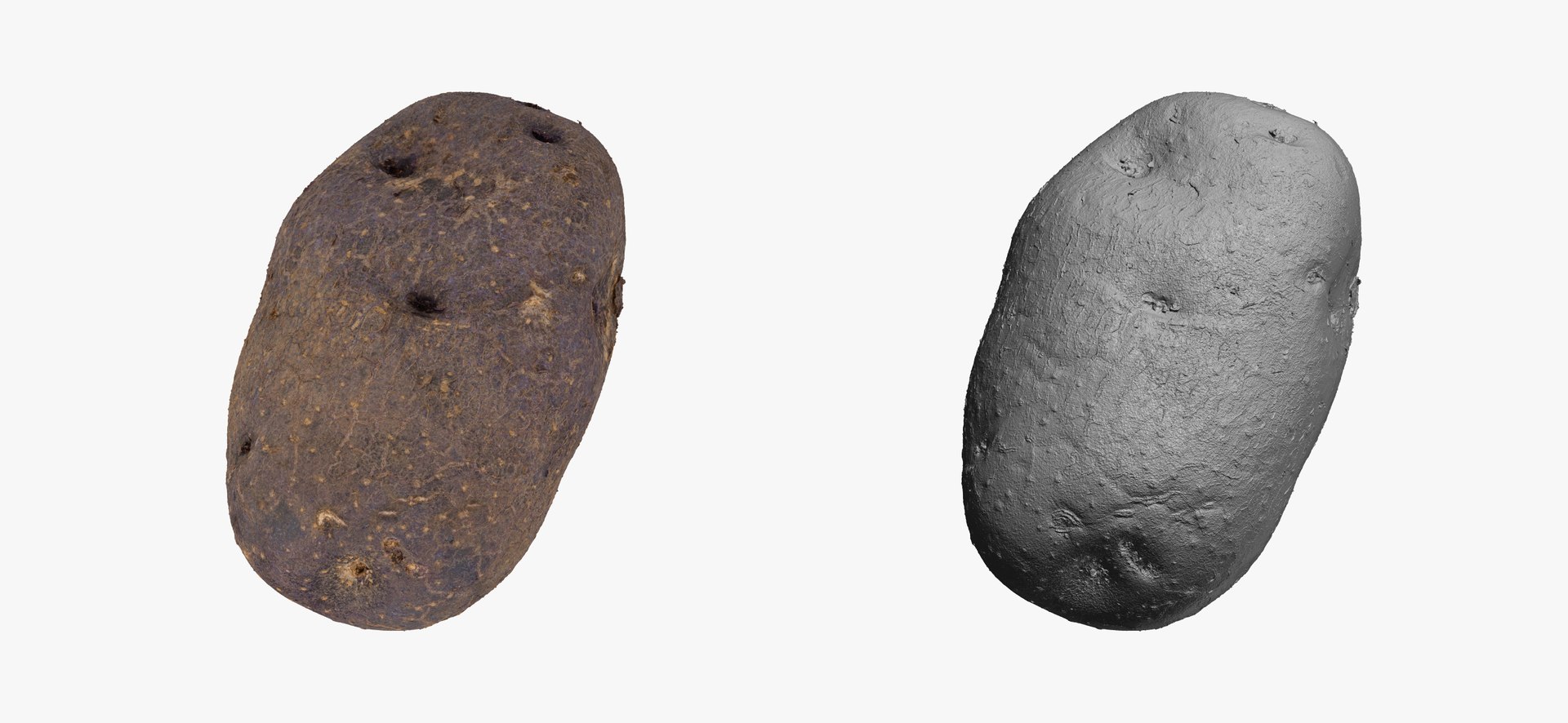 3D model Potatoes Collection 02 - 15 models RAW Scans https://p.turbosquid.com/ts-thumb/K5/0IESeX/Tj/purplepotato02thumbnail03/jpg/1641302475/1920x1080/fit_q87/a61ae82b55cecdea8d4a95870b32b3ce22c70d3c/purplepotato02thumbnail03.jpg