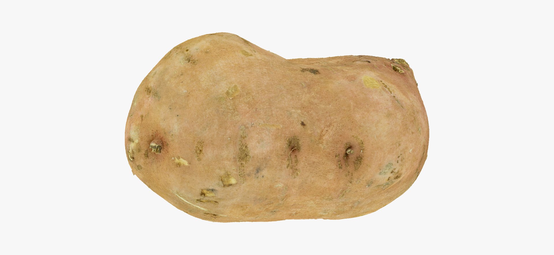 3D model Potatoes Collection 02 - 15 models RAW Scans https://p.turbosquid.com/ts-thumb/K5/0IESeX/Wo/sweetpotato02thumbnails11/jpg/1641302621/1920x1080/fit_q87/95a539bf3a12613da59656719de8750359e81c8b/sweetpotato02thumbnails11.jpg