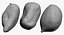 Potatoes Collection 02 - 15 模型 RAW 扫描
