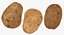 Potatoes Collection 02 - 15 模型 RAW 扫描
