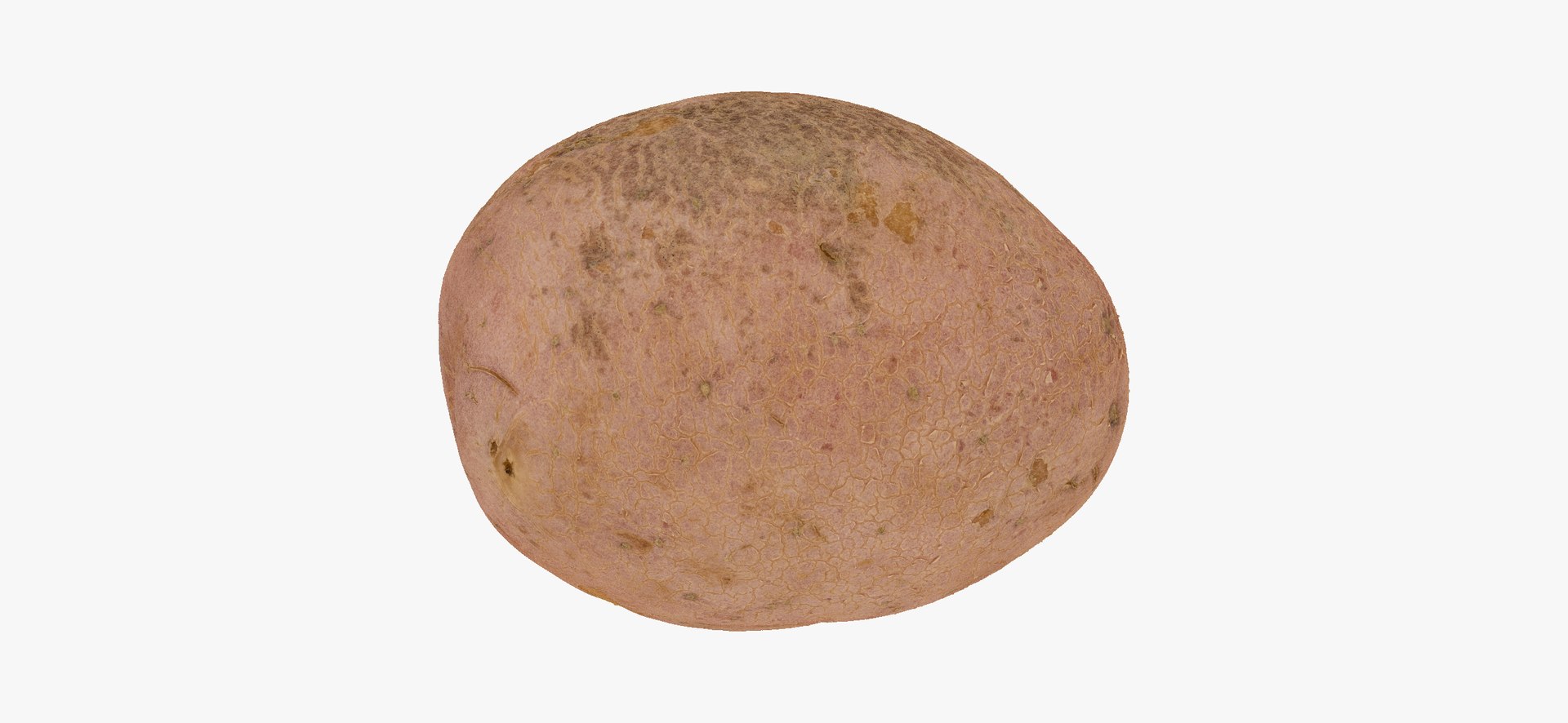 3D model Potatoes Collection 02 - 15 models RAW Scans https://p.turbosquid.com/ts-thumb/K5/0IESeX/Ya/redpotato03thumbnail11/jpg/1641302616/1920x1080/fit_q87/bf84c3a17ab57ed76e7be8726c9b4a8fcf11267e/redpotato03thumbnail11.jpg