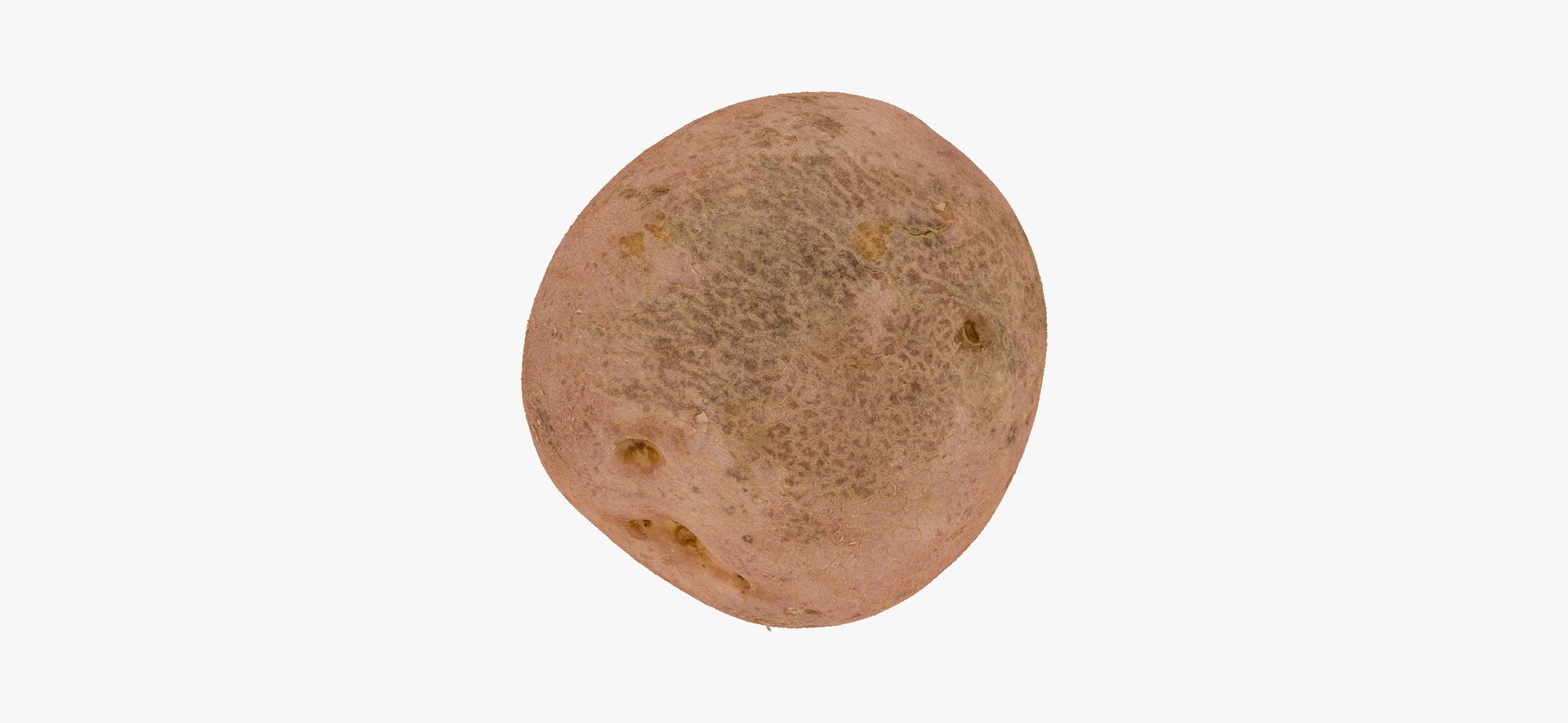 3D model Potatoes Collection 02 - 15 models RAW Scans https://p.turbosquid.com/ts-thumb/K5/0IESeX/Z0/redpotato03thumbnail01/jpg/1641302613/1920x1080/fit_q87/8b329a4b20d22233698f5d97b50a061d926d4dc5/redpotato03thumbnail01.jpg