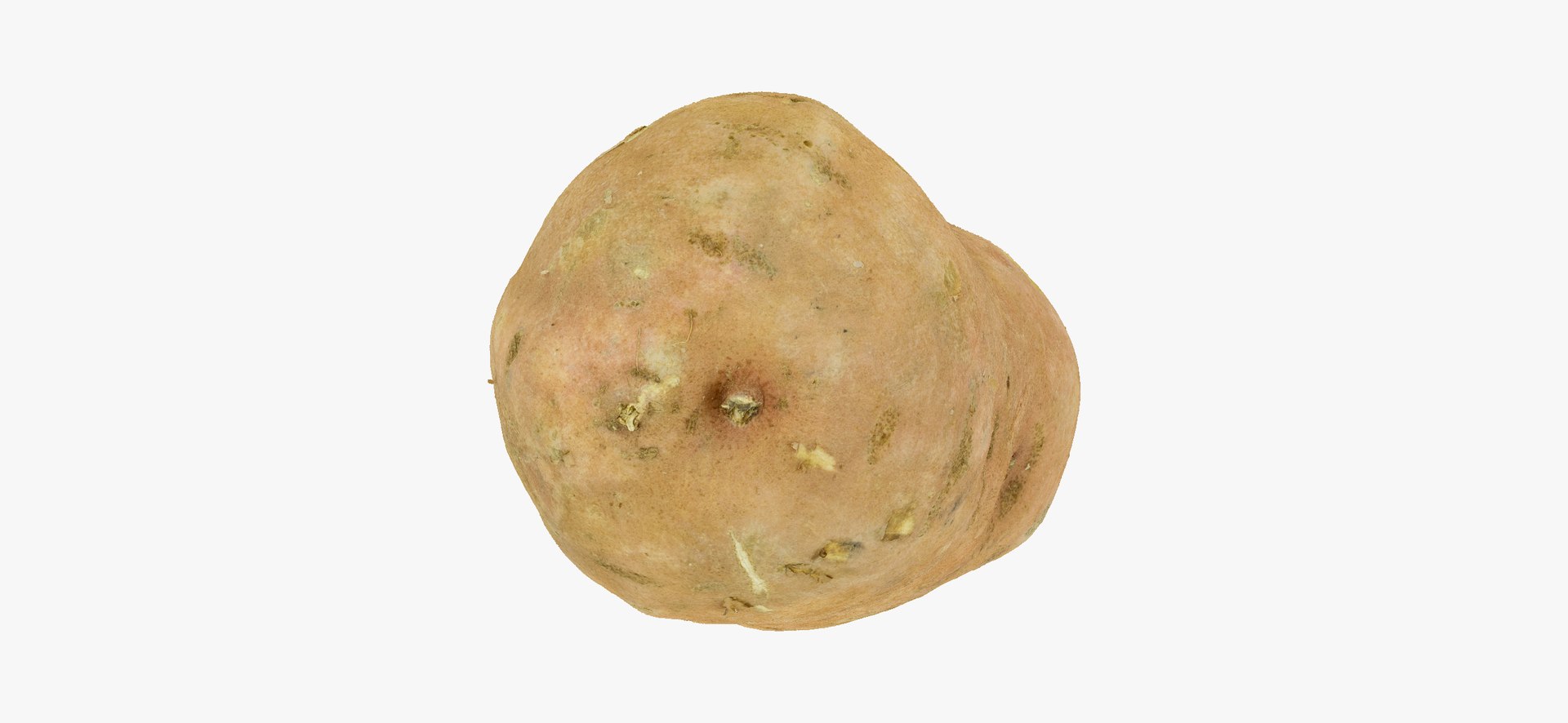 3D model Potatoes Collection 02 - 15 models RAW Scans https://p.turbosquid.com/ts-thumb/K5/0IESeX/aL/sweetpotato02thumbnails07/jpg/1641302613/1920x1080/fit_q87/af40c7a6d967cebef392c4543bea0735f4f3351e/sweetpotato02thumbnails07.jpg