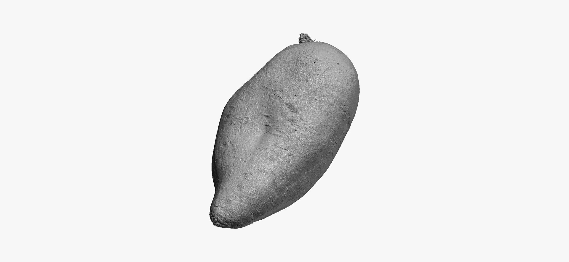 3D model Potatoes Collection 02 - 15 models RAW Scans https://p.turbosquid.com/ts-thumb/K5/0IESeX/f0/sweetpotato03thumbnail02/jpg/1641302761/1920x1080/fit_q87/16e4ad7920a12afb8b7c23bacfb1c527e9fadec3/sweetpotato03thumbnail02.jpg