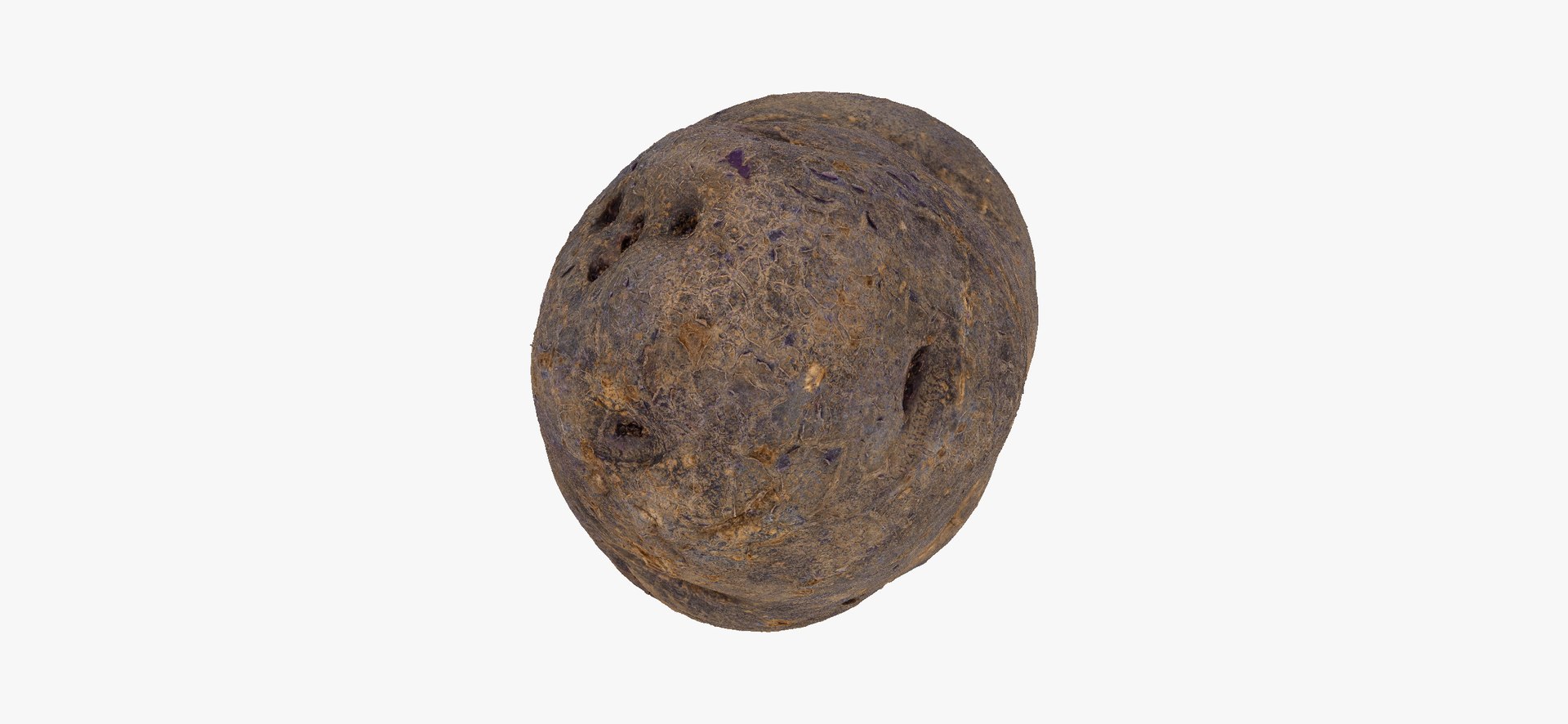 3D model Potatoes Collection 02 - 15 models RAW Scans https://p.turbosquid.com/ts-thumb/K5/0IESeX/gK/purplepotato03thumbnail07/jpg/1641302636/1920x1080/fit_q87/9d6fab46b793a604af7884e1fdb3a90dc0a02e0f/purplepotato03thumbnail07.jpg