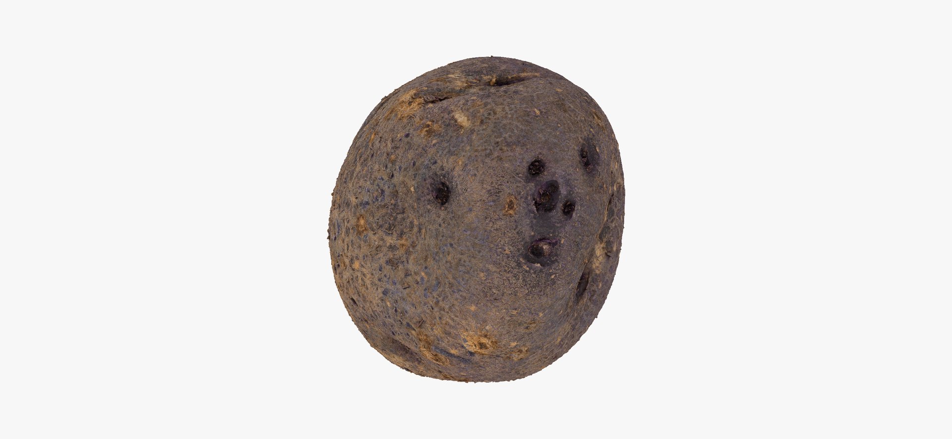 3D model Potatoes Collection 02 - 15 models RAW Scans https://p.turbosquid.com/ts-thumb/K5/0IESeX/hu/purplepotato02thumbnail07/jpg/1641302634/1920x1080/fit_q87/52aea3d84df3ba26b0a4cb05712016e00972a1de/purplepotato02thumbnail07.jpg