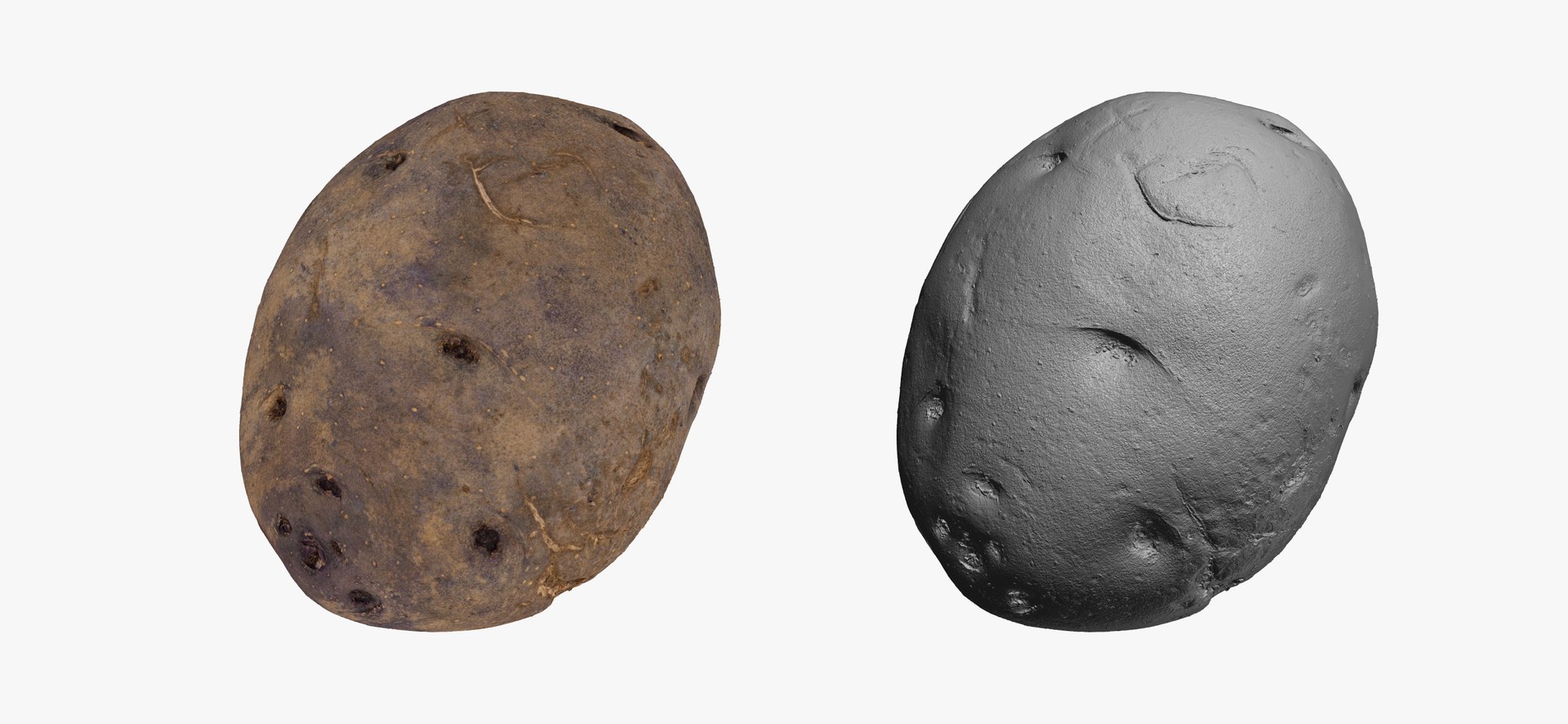 3D model Potatoes Collection 02 - 15 models RAW Scans https://p.turbosquid.com/ts-thumb/K5/0IESeX/jW/purplepotato01thumbnail03/jpg/1641302476/1920x1080/fit_q87/a51d0c80d90cf5b09e92500030d54f79e567a2c4/purplepotato01thumbnail03.jpg