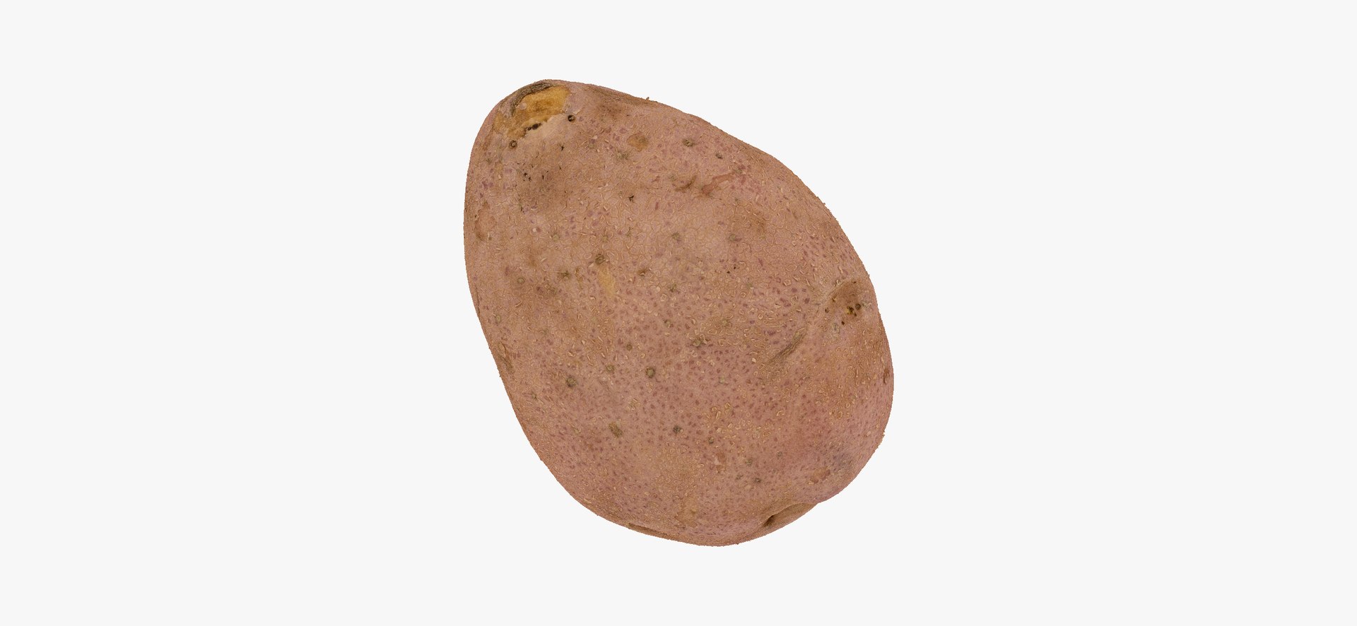 3D model Potatoes Collection 02 - 15 models RAW Scans https://p.turbosquid.com/ts-thumb/K5/0IESeX/jm/redpotato01thumbnail04/jpg/1641302613/1920x1080/fit_q87/32497b26ebd27c4e6fc227fea664d9537a520186/redpotato01thumbnail04.jpg