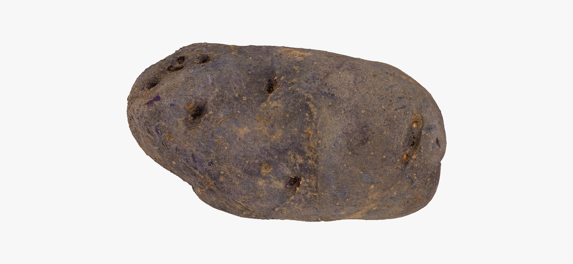 3D model Potatoes Collection 02 - 15 models RAW Scans https://p.turbosquid.com/ts-thumb/K5/0IESeX/mO/purplepotato03thumbnail11/jpg/1641302623/1920x1080/fit_q87/ea7163fcd02430e8d479664e0b2e08950488cb5b/purplepotato03thumbnail11.jpg