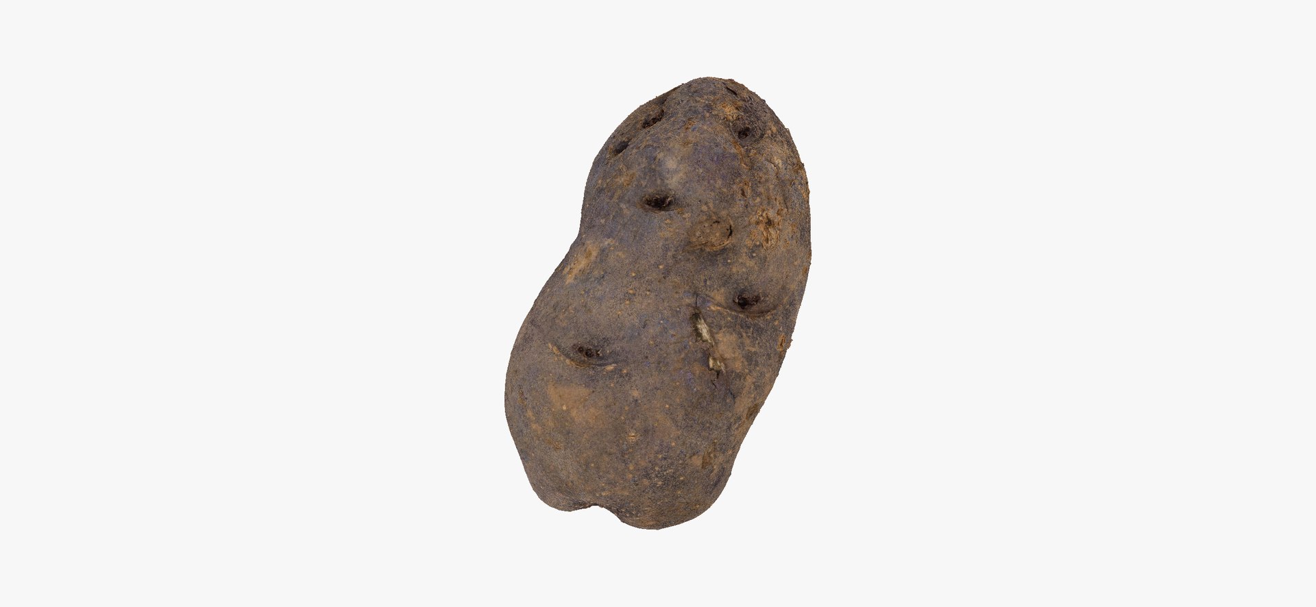 3D model Potatoes Collection 02 - 15 models RAW Scans https://p.turbosquid.com/ts-thumb/K5/0IESeX/oL/purplepotato03thumbnail01/jpg/1641302627/1920x1080/fit_q87/7ba3785ba2bc40f77c42d0bf657494f4fda3a84a/purplepotato03thumbnail01.jpg