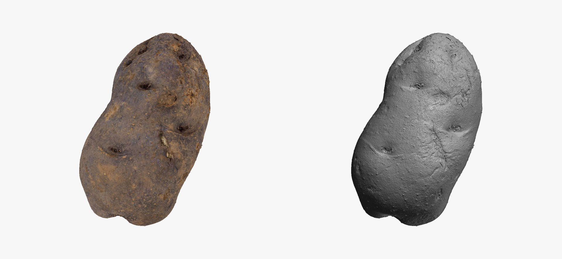 3D model Potatoes Collection 02 - 15 models RAW Scans https://p.turbosquid.com/ts-thumb/K5/0IESeX/pV/purplepotato03thumbnail03/jpg/1641302476/1920x1080/fit_q87/5fe48e3ec9e1c340379325c68db4fdbef112e1a3/purplepotato03thumbnail03.jpg