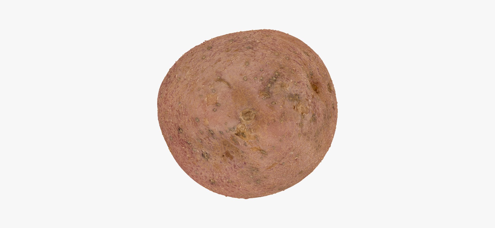 3D model Potatoes Collection 02 - 15 models RAW Scans https://p.turbosquid.com/ts-thumb/K5/0IESeX/pu/redpotato02thumbnail09/jpg/1641302615/1920x1080/fit_q87/e31f56d7123ecff26be50f40bb7cddf54cc25edf/redpotato02thumbnail09.jpg