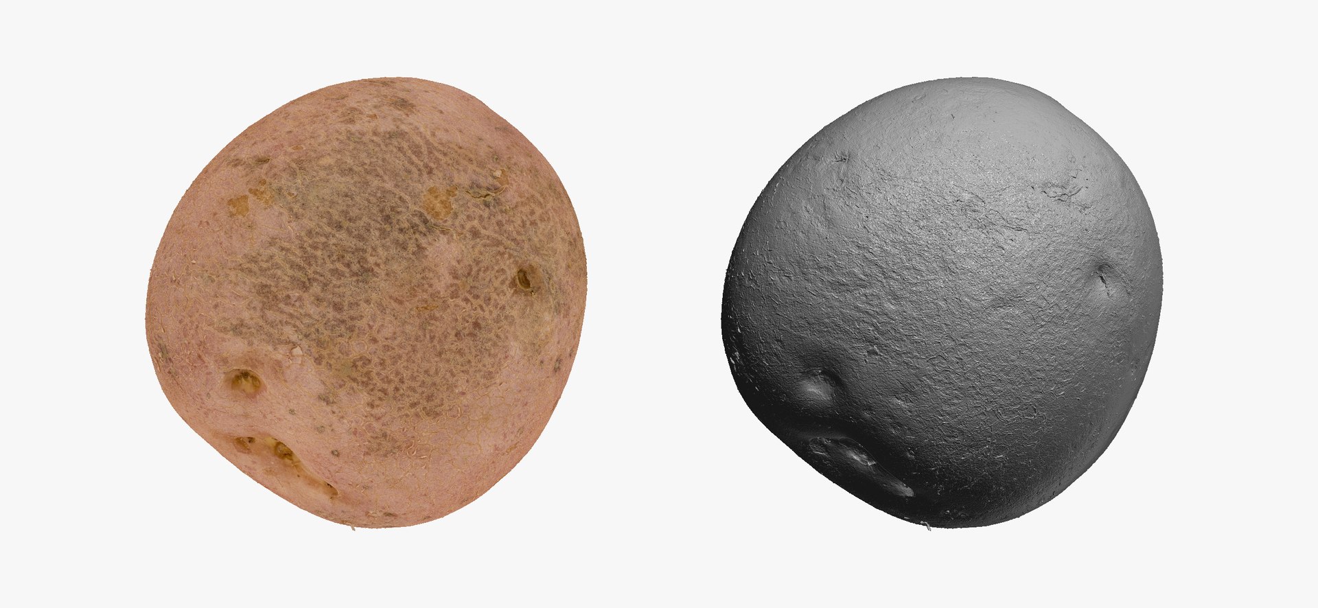 3D model Potatoes Collection 02 - 15 models RAW Scans https://p.turbosquid.com/ts-thumb/K5/0IESeX/uF/redpotato03thumbnail03/jpg/1641302477/1920x1080/fit_q87/74146912020bdde8551f141099c77470caf9026c/redpotato03thumbnail03.jpg