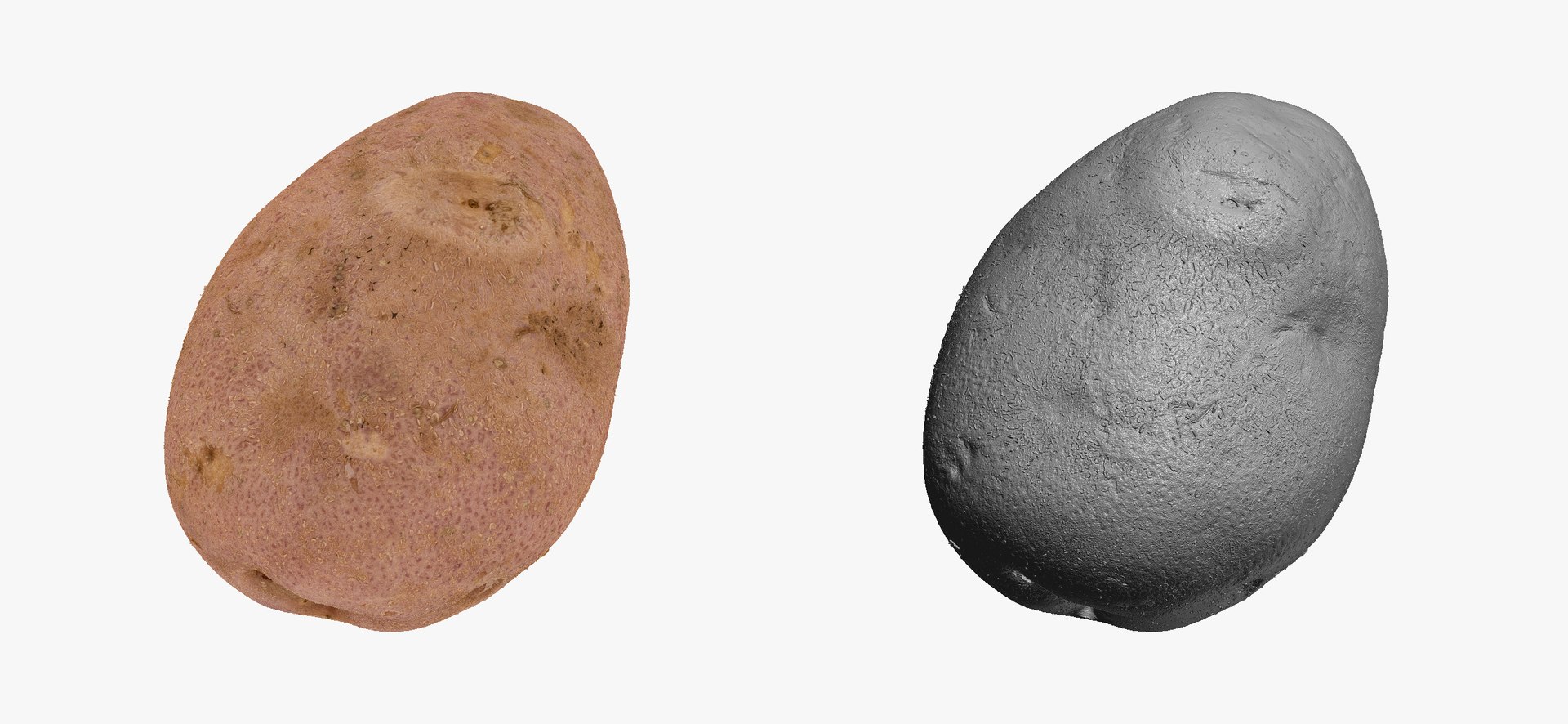 3D model Potatoes Collection 02 - 15 models RAW Scans https://p.turbosquid.com/ts-thumb/K5/0IESeX/ue/redpotato01thumbnail03/jpg/1641302476/1920x1080/fit_q87/a5d1757bf1ac6ca63ae0b6f9dec4a650caf65304/redpotato01thumbnail03.jpg
