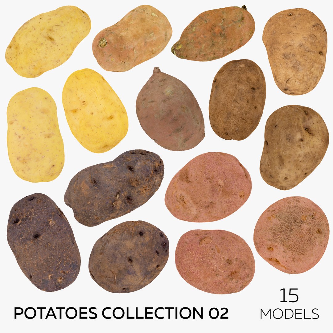 3D model Potatoes Collection 02 - 15 models RAW Scans https://p.turbosquid.com/ts-thumb/K5/0IESeX/yL/square1/jpg/1643271947/1920x1080/fit_q87/92c89efb5cd549d266865cf75c24cc17e23eb032/square1.jpg