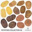 Potatoes Collection 02 - 15 模型 RAW 扫描