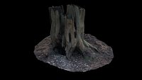 Tree Trunk with Foxhole Photoscan 4K Texture 50K poly