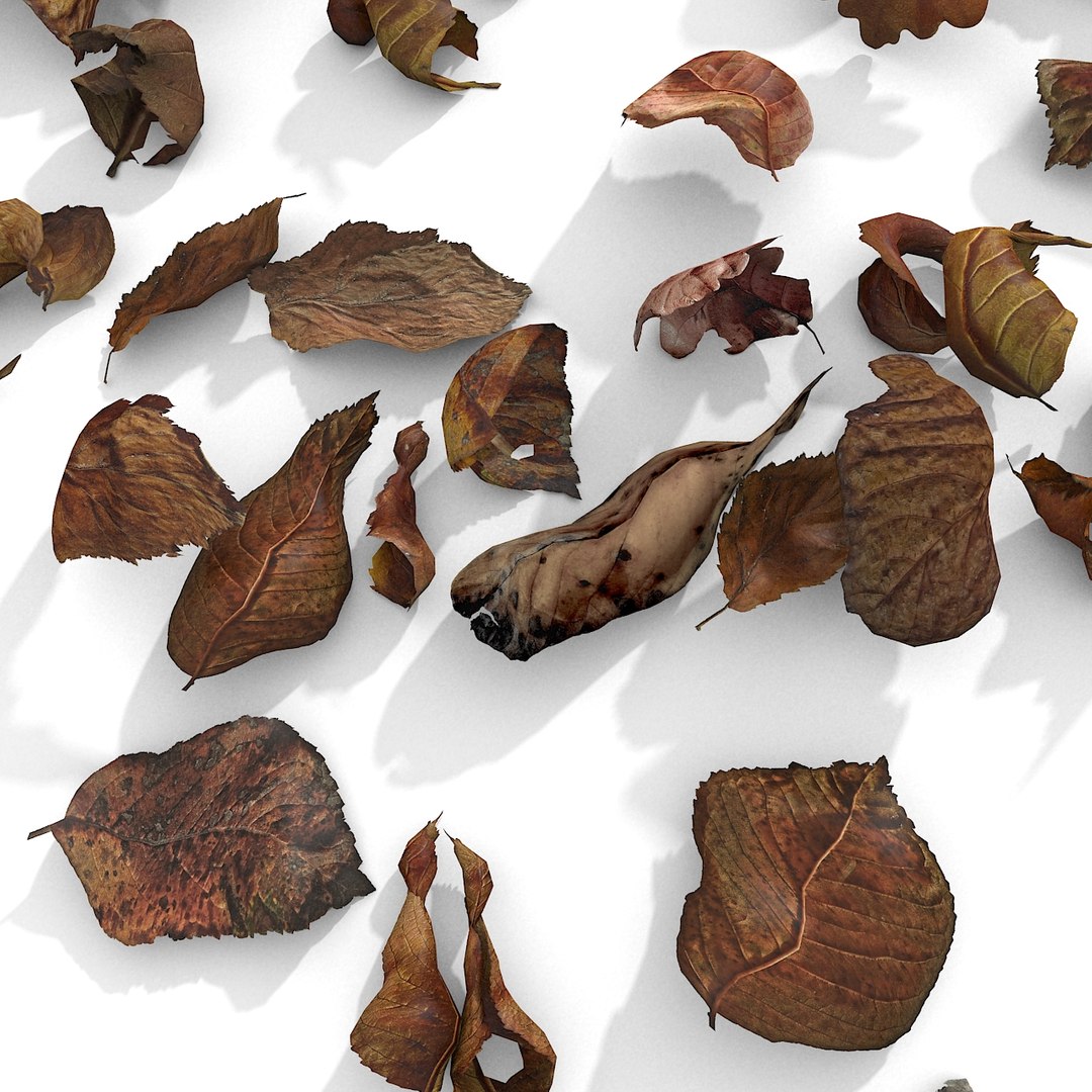 3d modelled https://p.turbosquid.com/ts-thumb/K5/JSgT4s/2gauqrYm/22/jpg/1384806286/1920x1080/fit_q87/583408452c7f5cbf1652720cace57cfbe5b6b8b2/22.jpg