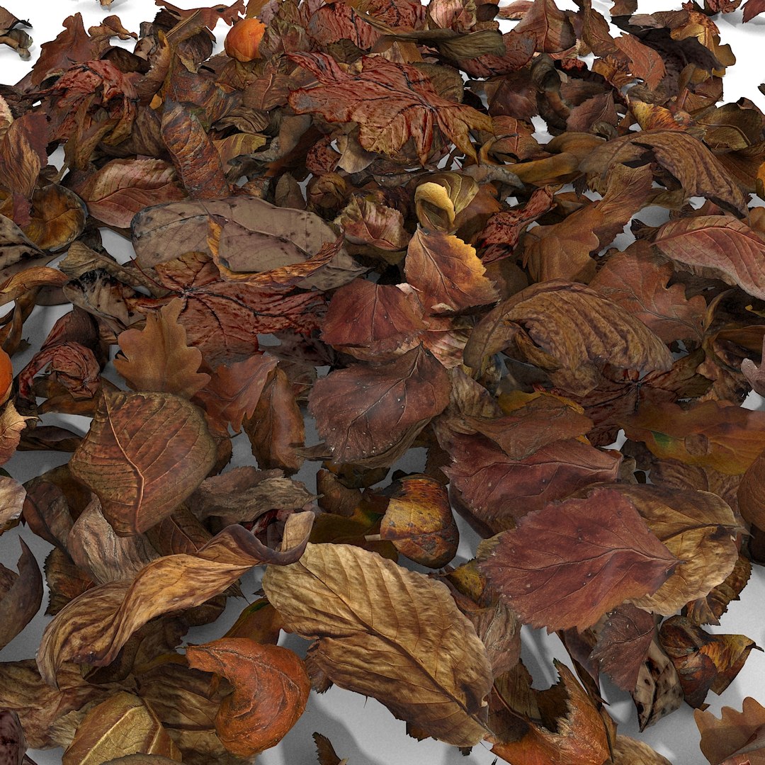 3d modelled https://p.turbosquid.com/ts-thumb/K5/JSgT4s/5npex3E5/24/jpg/1384806286/1920x1080/fit_q87/228fc1c442ae6805b9f872643beeb2a1a819f46a/24.jpg