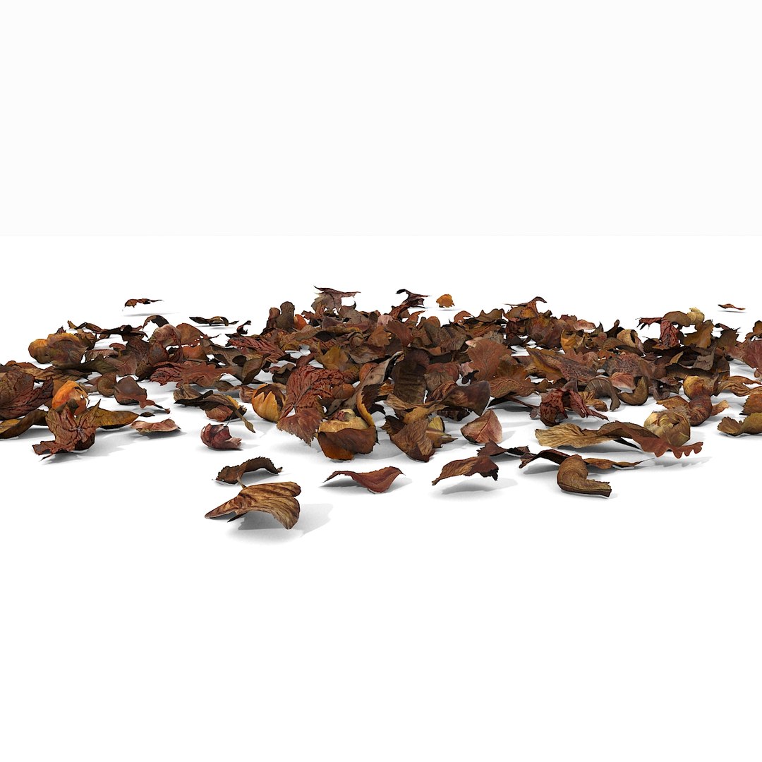 3d modelled https://p.turbosquid.com/ts-thumb/K5/JSgT4s/8Doo6GeN/06/jpg/1384806284/1920x1080/fit_q87/da74c3e33d0a9642c534769a9ceb205e6a8f0015/06.jpg