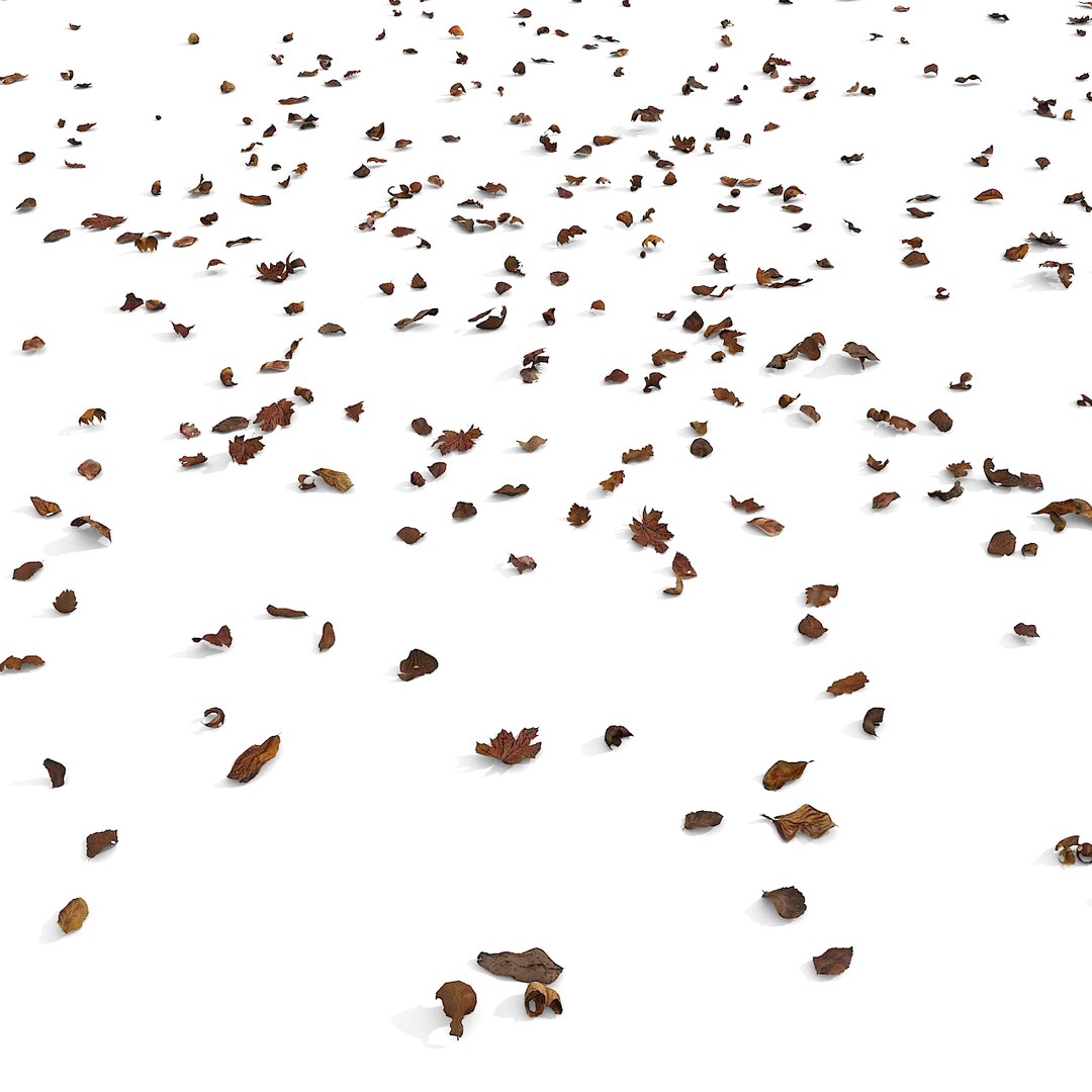 3d modelled https://p.turbosquid.com/ts-thumb/K5/JSgT4s/9Y3wq6Bz/17/jpg/1384806286/1920x1080/fit_q87/e5ca024f2badb200959ea20e05a711d3554b1d4a/17.jpg