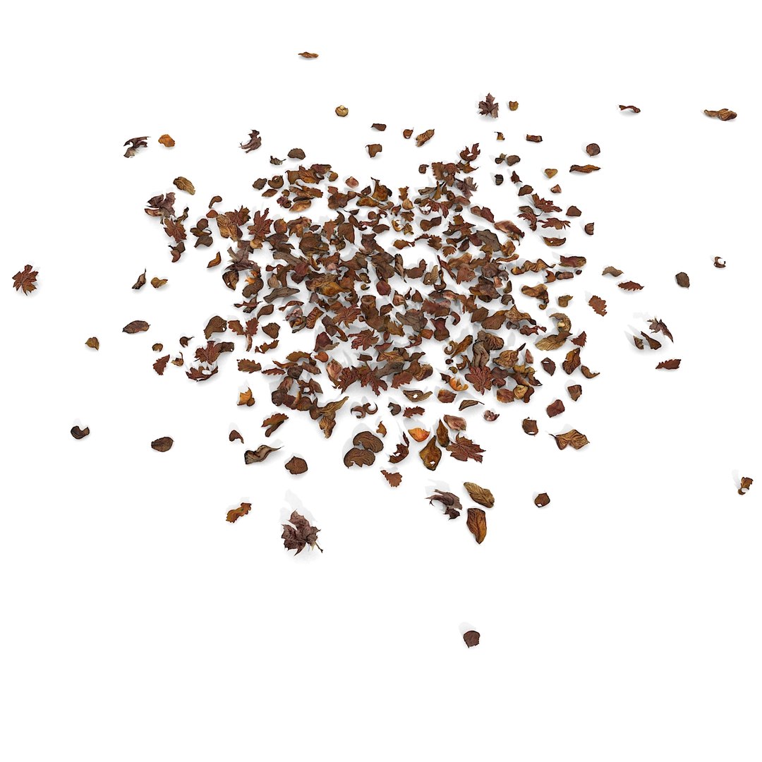 3d modelled https://p.turbosquid.com/ts-thumb/K5/JSgT4s/CjLYnSSo/15/jpg/1384806285/1920x1080/fit_q87/06fa928df1c82a83be25e10bdd291f8c3b1ae627/15.jpg