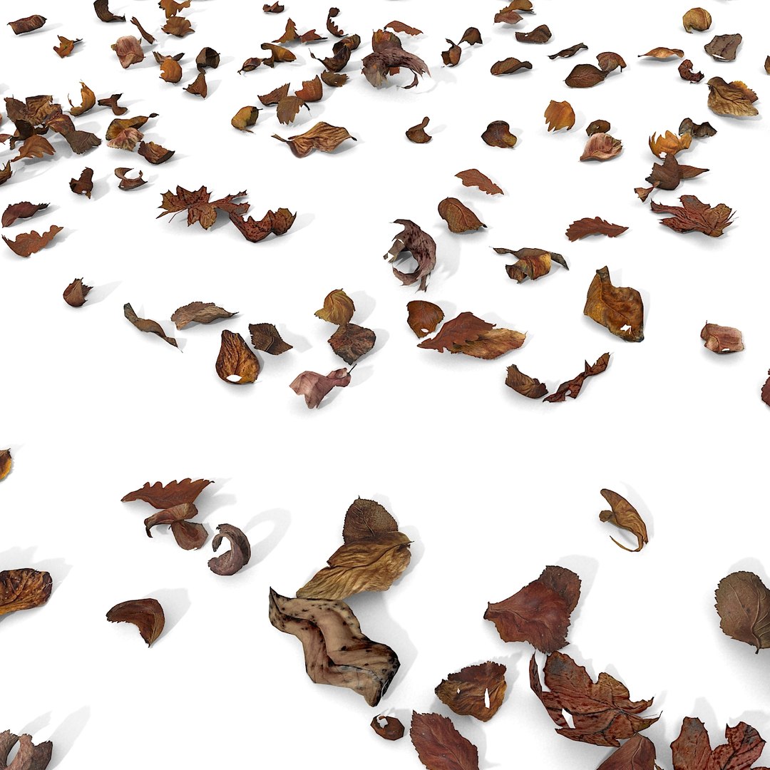 3d modelled https://p.turbosquid.com/ts-thumb/K5/JSgT4s/ExDNnOZy/03/jpg/1384806283/1920x1080/fit_q87/e27fe8bb7b8a6c5895cc979a77172d78d37a2aed/03.jpg