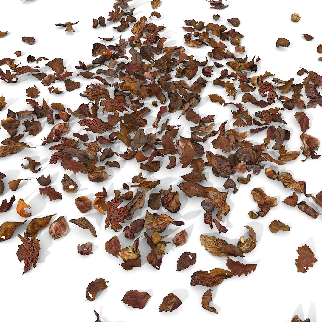 3d modelled https://p.turbosquid.com/ts-thumb/K5/JSgT4s/K5t76wSe/05/jpg/1384806284/1920x1080/fit_q87/be6690bfc022464cb64542c370b4e16748c0be73/05.jpg