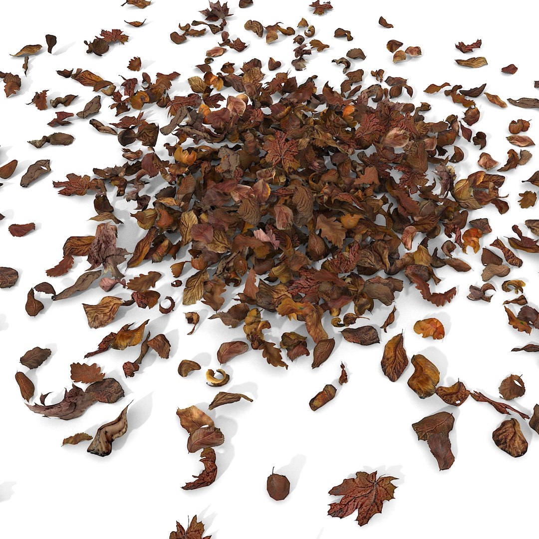 3d modelled https://p.turbosquid.com/ts-thumb/K5/JSgT4s/KZ8VBNUB/04/jpg/1384806284/1920x1080/fit_q87/42f59d724b4728c9aec6d4f83b04ba3fd72597b8/04.jpg